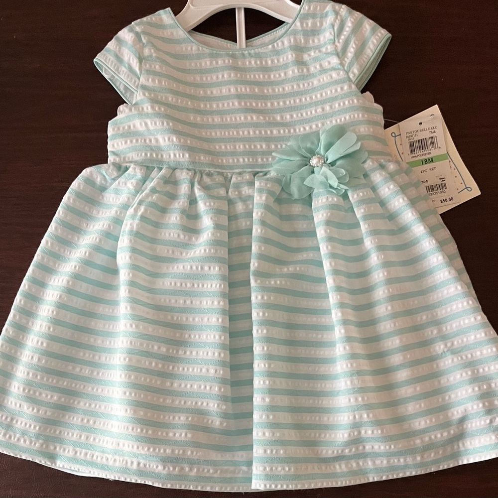 Baby Girl Beautiful Dress - NWT